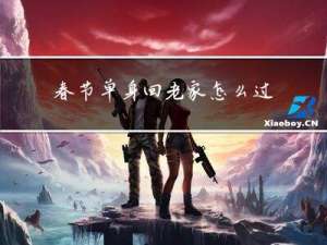 春节单身回老家怎么过日子