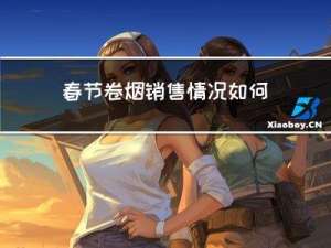 春节卷烟销售情况如何填写