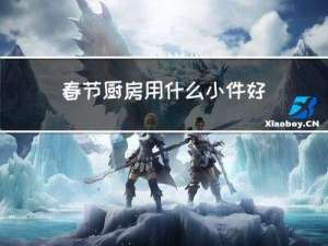 春节厨房用什么小件好