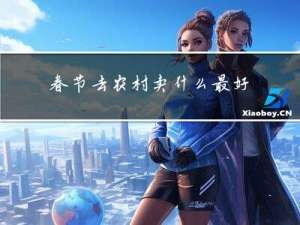 春节去农村卖什么最好挣钱