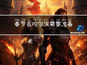 春节去哈尔滨需要准备什么