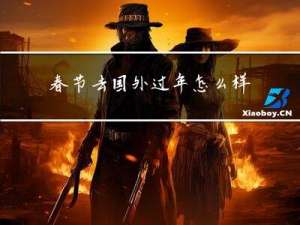 春节去国外过年怎么样了