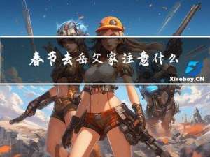 春节去岳父家注意什么