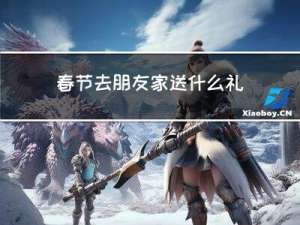 春节去朋友家送什么礼品