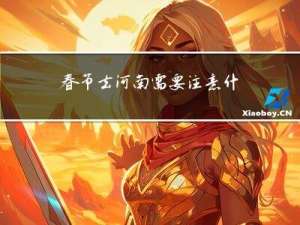 春节去河南需要注意什么
