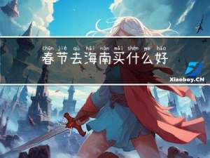 春节去海南买什么好