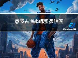 春节去海南哪里最热闹作文