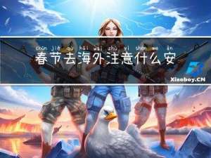 春节去海外注意什么安全