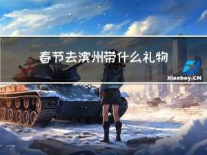 春节去滨州带什么礼物最好