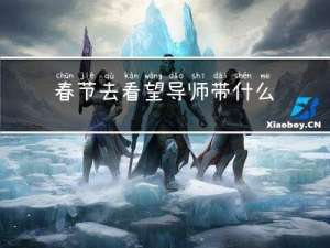 春节去看望导师带什么
