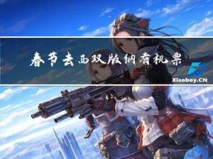 春节去西双版纳有机票吗