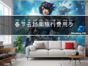 春节去越南旅行费用多少