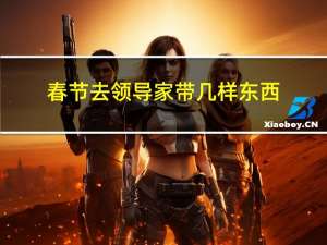 春节去领导家带几样东西