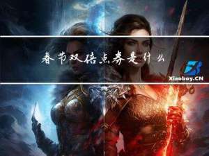 春节双倍点券是什么