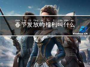 春节发放的福利叫什么