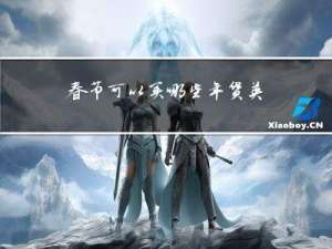 春节可以买哪些年货英语