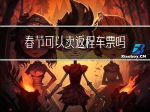 春节可以卖返程车票吗