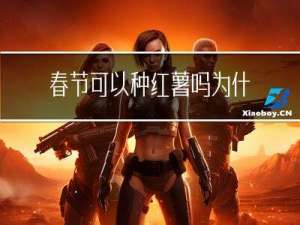 春节可以种红薯吗为什么