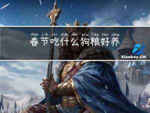 春节吃什么狗粮好养