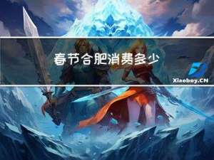 春节合肥消费多少