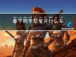 春节同学聚餐开什么车合适