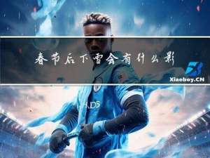 春节后下雪会有什么影响