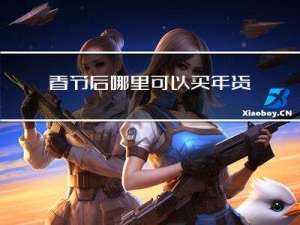 春节后哪里可以买年货