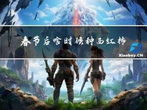 春节后啥时候种西红柿子