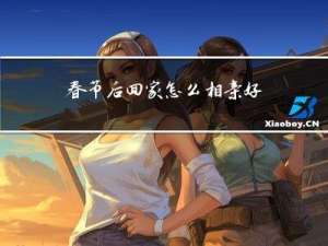 春节后回家怎么相亲好呢