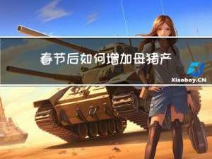 春节后如何增加母猪产仔量