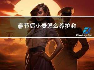 春节后小麦怎么养护和管理