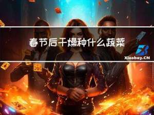 春节后干燥种什么蔬菜