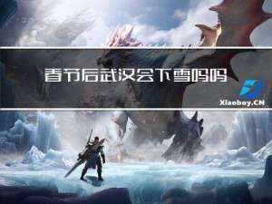 春节后武汉会下雪吗吗