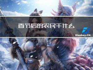 春节后的农民干什么