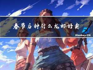 春节后种什么龙虾好卖