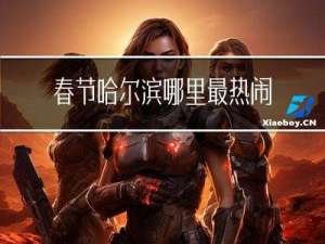 春节哈尔滨哪里最热闹视频