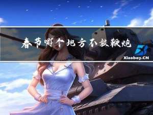 春节哪个地方不放鞭炮