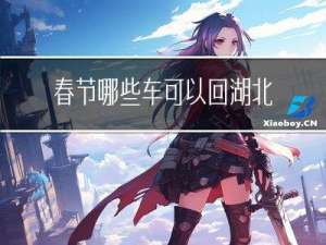 春节哪些车可以回湖北长沙