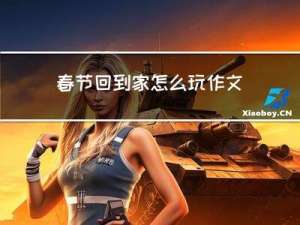 春节回到家怎么玩作文
