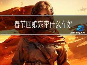 春节回娘家带什么车好呢