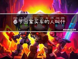 春节回家买车的人叫什么