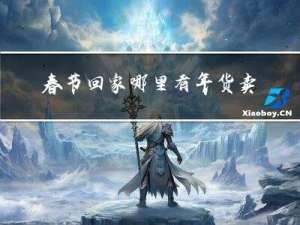 春节回家哪里有年货卖