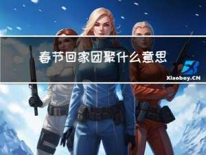 春节回家团聚什么意思英语