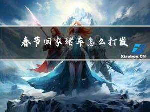 春节回家堵车怎么打发