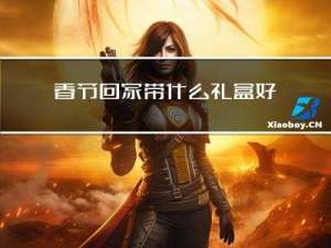 春节回家带什么礼盒好看