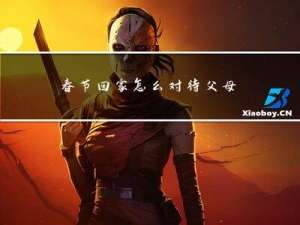 春节回家怎么对待父母作文