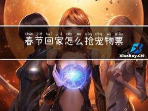 春节回家怎么抢宠物票