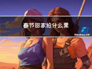 春节回家抢什么票