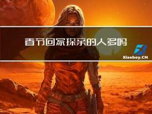春节回家探亲的人多吗