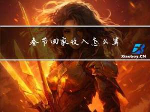 春节回家收入怎么算